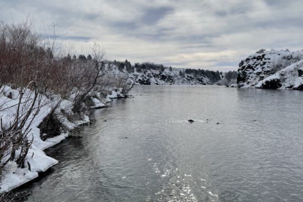 Winter Dry Fly Fishing at it’s Best!