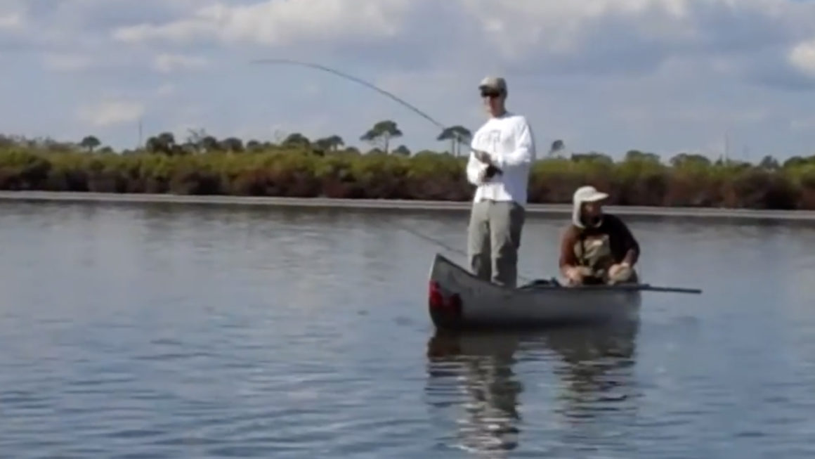 Jack’s Black Drum