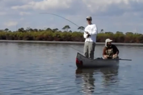 Jack’s Black Drum