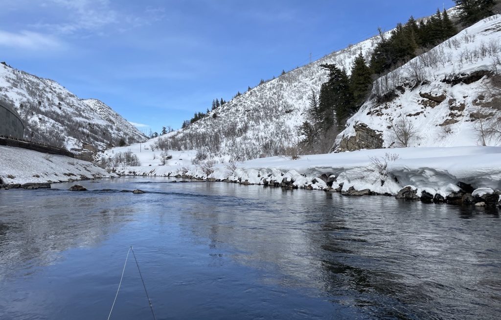 Waiting on a BWO hatch – It’s Been a Long, Cold Winter!