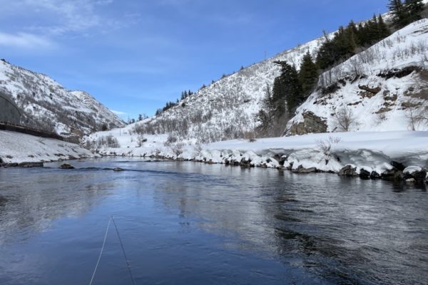 Waiting on a BWO hatch – It’s Been a Long, Cold Winter!