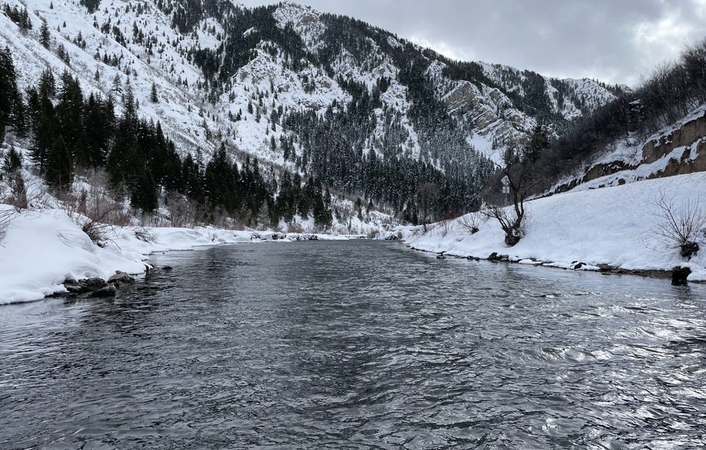 Winter Fishing on the Lower Provo