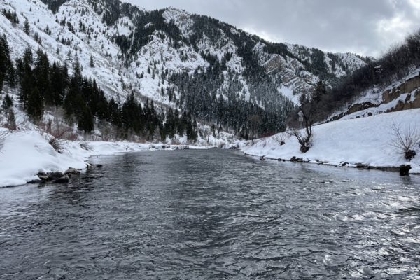 Winter Fishing on the Lower Provo