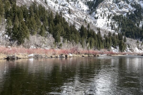 Lower Provo Revisited & Orvis Recon – On the Water Review