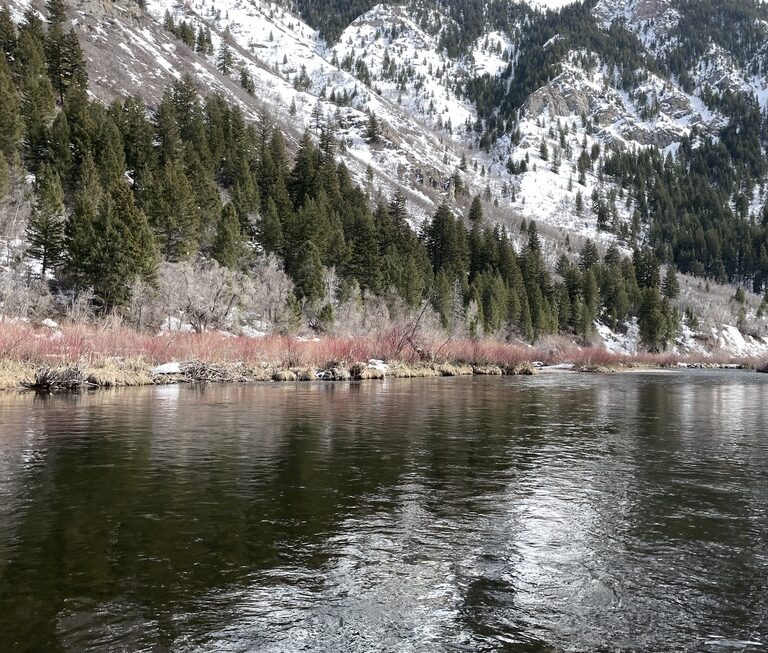 Lower Provo Revisited & Orvis Recon – On the Water Review