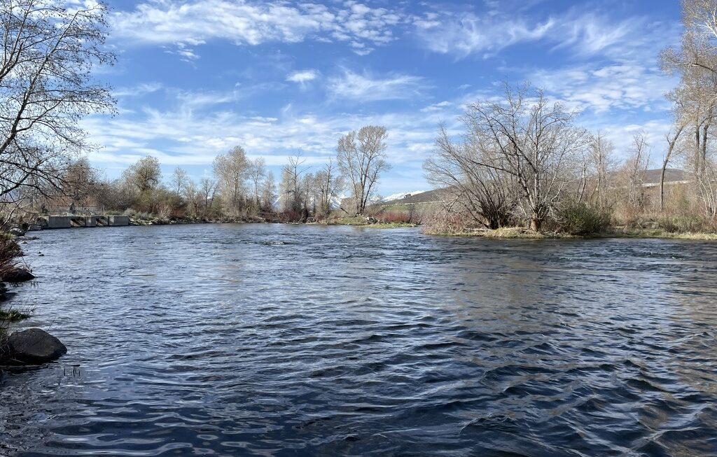 Tough Day on the Middle Provo + First Euro Rig Catch!