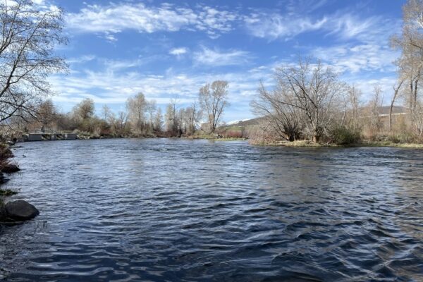 Tough Day on the Middle Provo + First Euro Rig Catch!